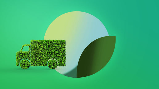 POTV is Taking Action for a More Sustainable Future