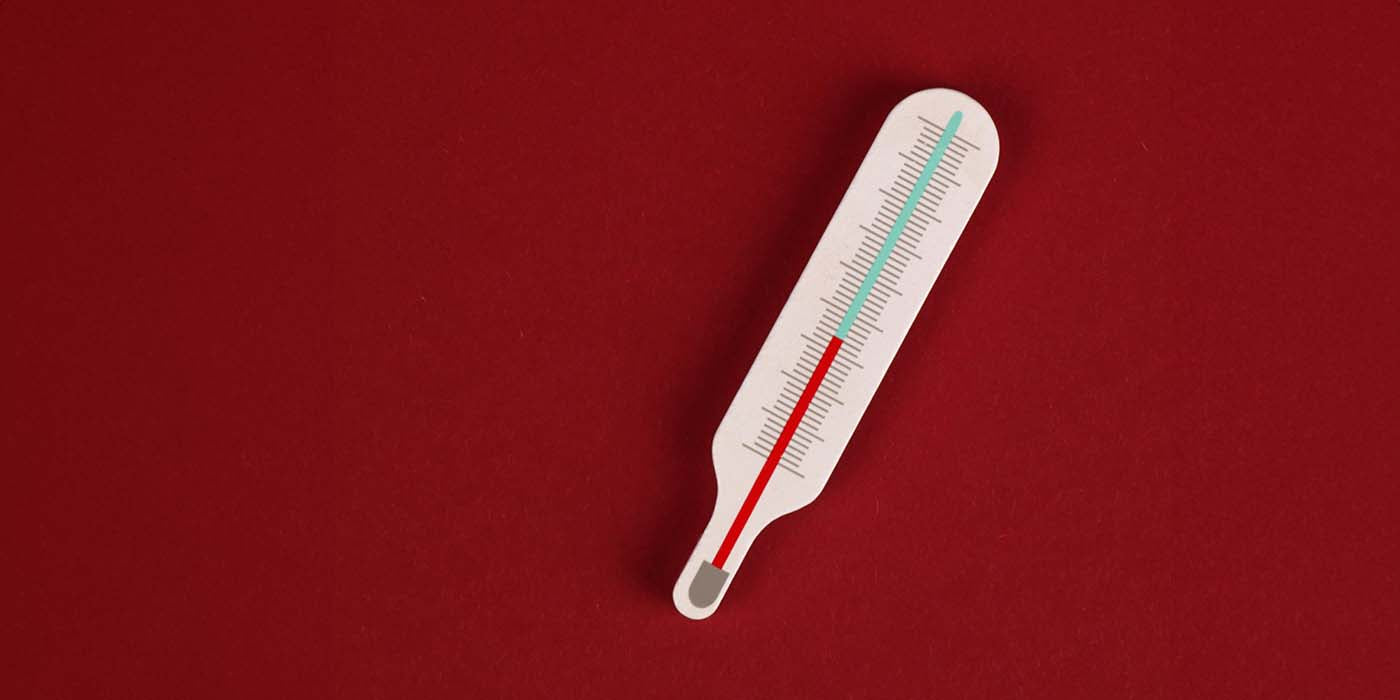 What’s the Best Temperature to Vape Dry Herb?