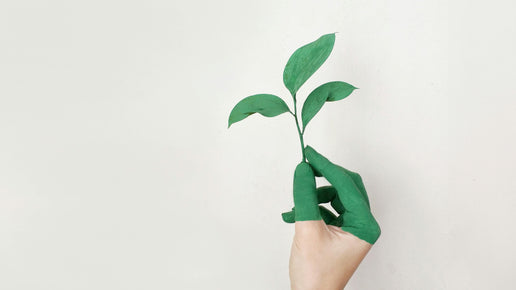 Why Dry Herb Vaporizers Are the More Eco-Friendly Choice Banner
