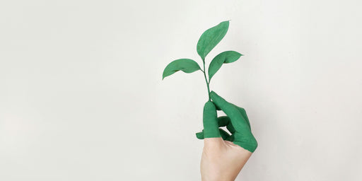 Why Dry Herb Vaporizers Are the More Eco-Friendly Choice Banner