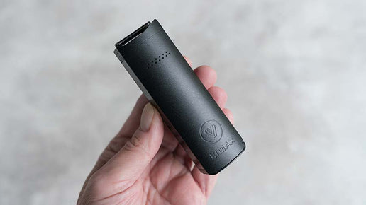 xmax starry vaporizer in hand