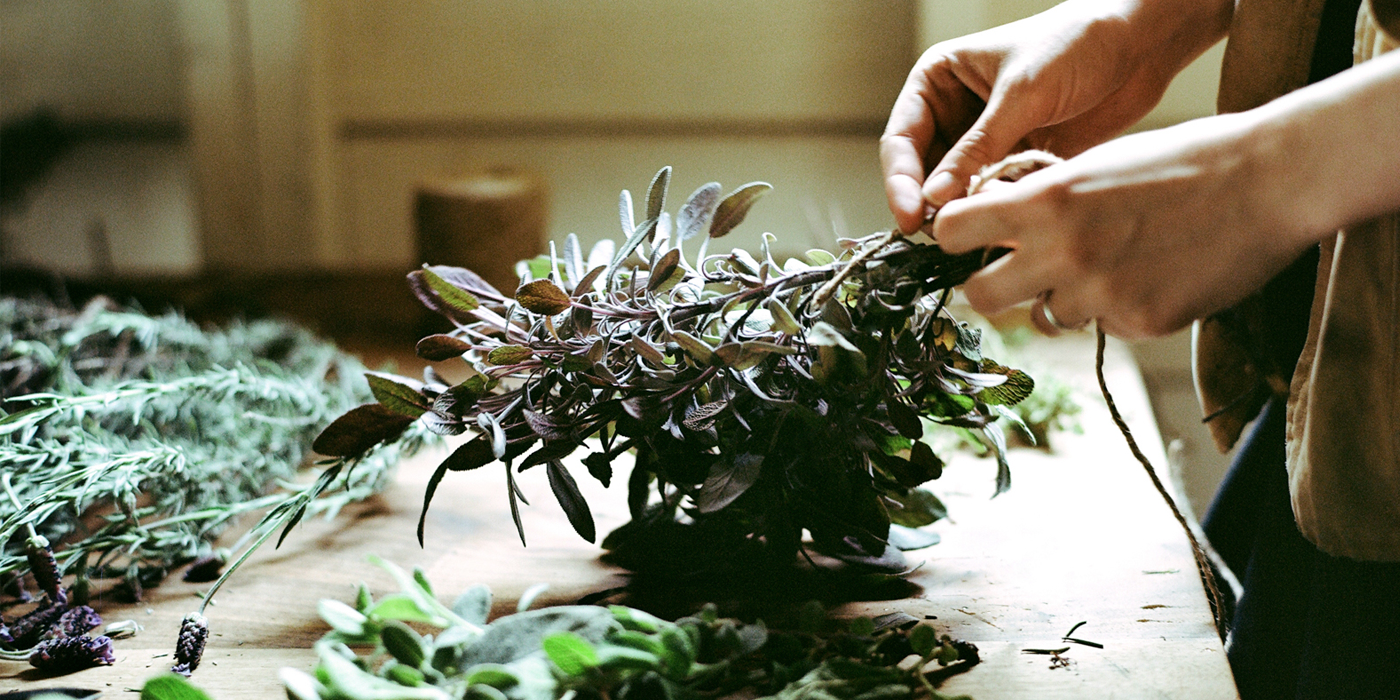 Vaporizing Herbs & Aromatics: What You Need to Know