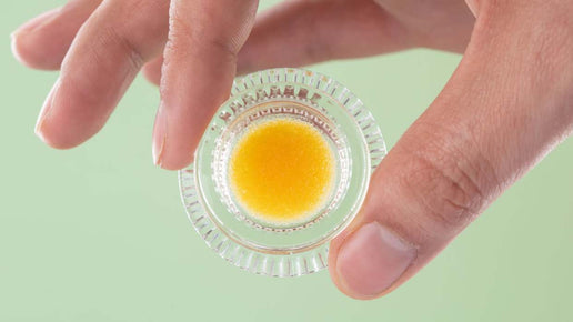 Oil Vapes vs Dry Herb Vapes: Pros, Cons & Which Is Right for You