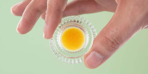 Oil Vapes vs Dry Herb Vapes: Pros, Cons & Which Is Right for You