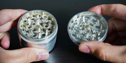 How to Use a Dry Herb Grinder for Beginners