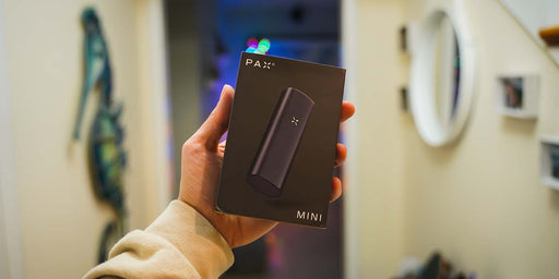 How to Use the (old) PAX Mini Vaporizer - Planet of the Vapes How to Use the (old) PAX Mini Vaporizer - Planet of the Vapes