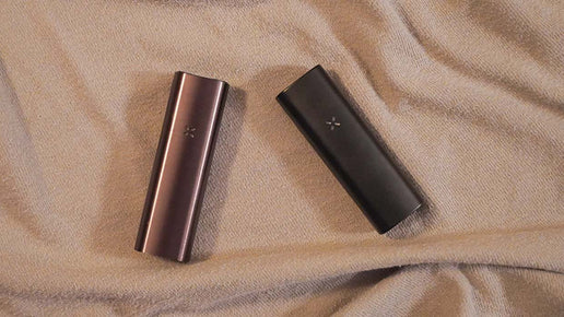 PAX Mini vs PAX 2: A Budget-Friendly Faceoff