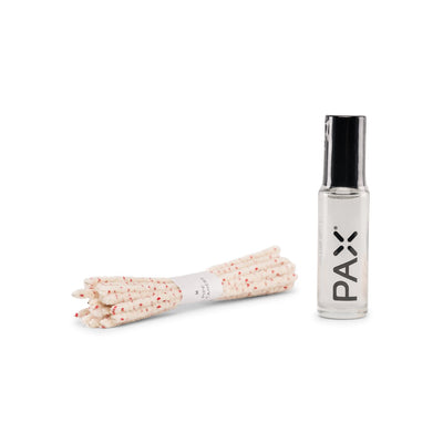 PAX 3 cleaning kit 